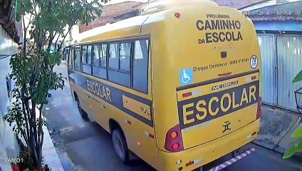 Cachorro é atropelado por ônibus escolar em Marechal Deodoro
