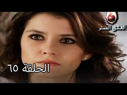 الحب الممنوع الجز 65 - Aşk-ı Memnu