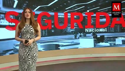 'El Pinto', presunto segundo al mando de La Barredora, coopera con la FGR como testigo