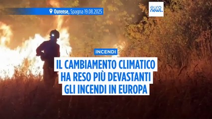 Incendi in Turchia, Grecia e Cipro: il cambiamento climatico li ha resi più intensi del 22%