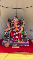 Surat's Floating Ganesha: A Community's Prayer To The River God