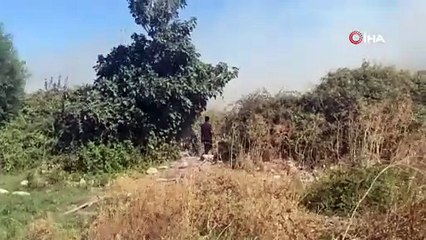 Otluk ve ağaçlık alanda çıkan yangın paniğe sebep oldu