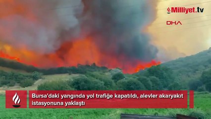 Bursa'da korkutan yangın! Alevler çiftliğe yaklaştı, yol kapandı, mahalleli anonsla uyarıldı