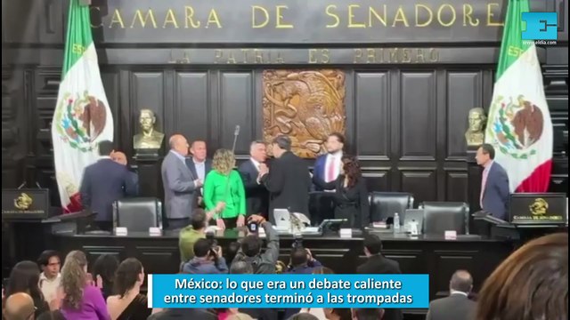 México: lo que era un debate caliente entre senadores terminó a las trompadas
