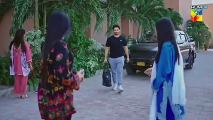 Judwaa - Episode 04 -   [ Aina Asif & Adnan Raza Mir ]