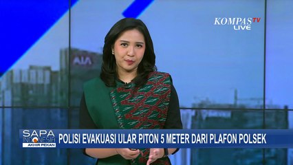 Geger! Ular Piton 5 Meter Lilit Tangan Polisi saat Dievakuasi di Polsek Tanjung Bumi