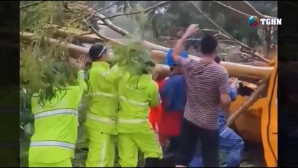 Bão Wutip đổ bộ Trung Quốc, gió giật cấp 13, mưa đá, cây xanh đổ rạp, đường ngập nước, mái nhà bị thổi bay, mưa đá