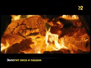 кліп Любэ - А заря заря (М2 2009)