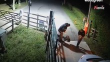 Kamera uchwyciła moment porzucenia. Przerażona sunia patrzyła, jak odjeżdżają bez niej