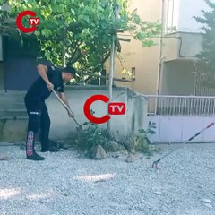 Bahçeye giren yılan yakalanarak doğaya bırakıldı