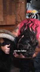 Letizia est bergère et perpétue les traditions corses en chantant pour son troupeau !  🎶🐑