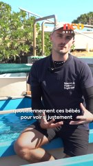 Soigneur à l’Observatoire des tortues marines Kélonia, Morgan garantit la santé de ces espèces en voie de disparition sur l’île de La Réunion. Pour neo, il raconte son quotidien ! 🐢❤️‍