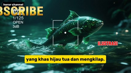 "Cerita horor Ikan Gaib di Situ Cileunca Pangalengan: Simbol Berkah atau Pertanda Mistik?"