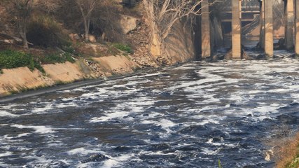 Delhi की भूली-बिसरी नदी, क्या आप जानते हैं साहिबी को?