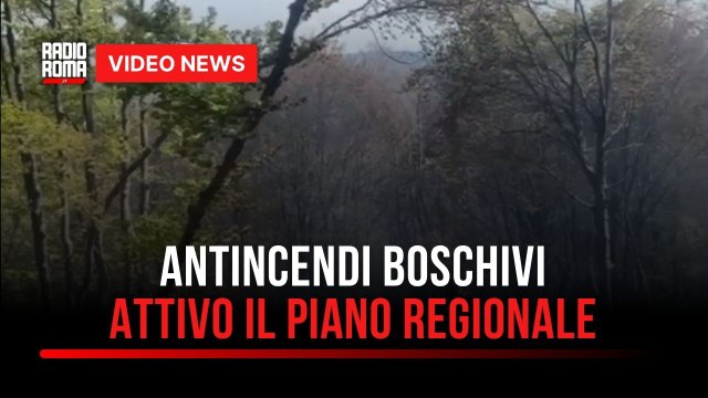 Anticendi boschivi, scatta il piano 2025