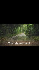 Deep sleep awaits with soothing rain sounds and gentle thunder