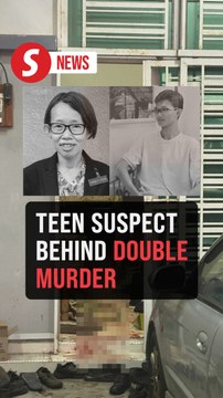 Teen, 17, is prime suspect behind double murder case, say Melaka cops