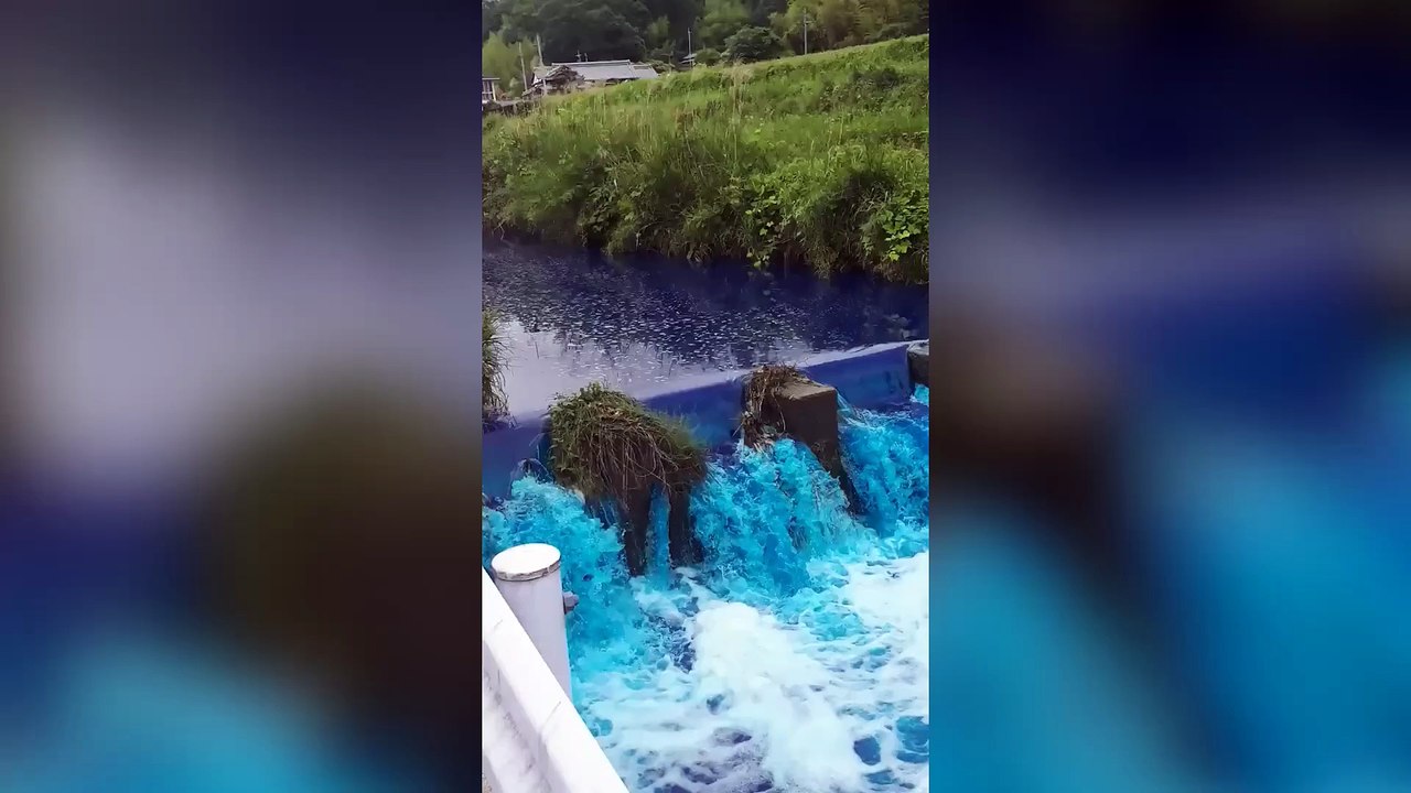 A river suddenly turns blue in Ikoma, Japan! Experts are investigating the phenomenon and recommend avoiding water use.