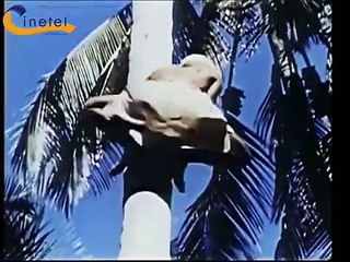 EL HINDU ( The Hindu, 1954, Full Movie, Spanish, Cinetel) HD