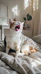 Ai animated Cat funny video. Viral Cats - Ep 236