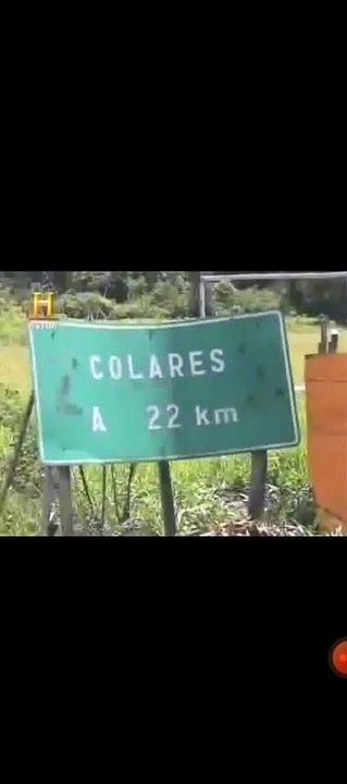 Final coronel colares