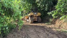 D6R XL Bulldozer Reshapes Long Neglected Plantation Roads