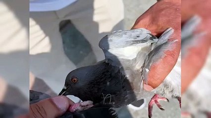 İtfaiye ekiplerinden hayat kurtaran müdahale