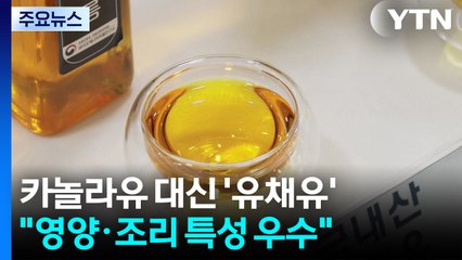 [녹색] 수입 카놀라유 대신 국산 유채유...농진청, 생산·소비 확대 속도 / YTN