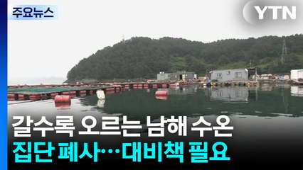 올해도 뜨거운 경남 앞바다...대비는 어떻게? / YTN