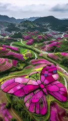 most beautiful place 🥰 in the world 🌍❤️#travel #nature #beautiful #love #youtube #new