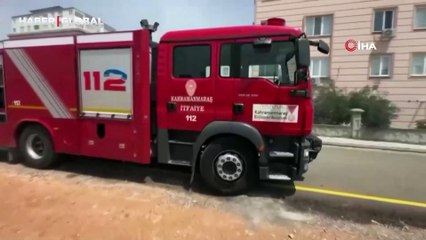 Kahramanmaraş'ta zeytinlik yangını