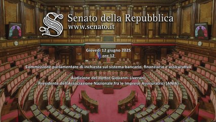 Roma - ​Audizione in Commissione sistema bancario (12.06.25)