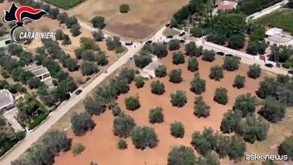 Carabiniere ucciso in Puglia: era il suo ultimo giorno di lavoro