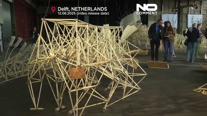 NO COMMENT: Las 'bestias' de playa impulsadas por el viento de los Países Bajos se exhiben en Delft