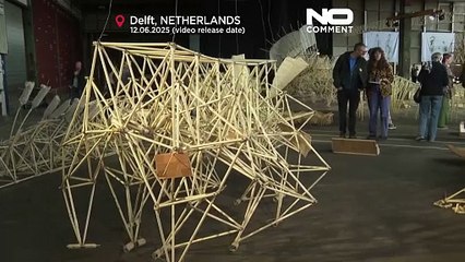 Países Baixos exibem 'bestas de praia' movidas a vento em Delft