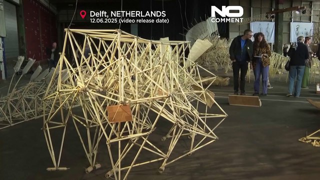 Pays-Bas : les créatures de plage alimentées par le vent exposées à Delft