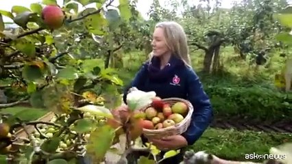 Turismo lento, l'Irlanda destinazione per viaggiatori senza fretta