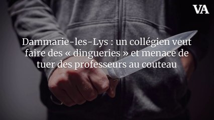 Dammarie-les-Lys : un collégien veut faire des « dingueries » et menace de tuer des professeurs au couteau