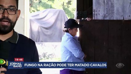 Fungo na ração pode ter matado cavalos