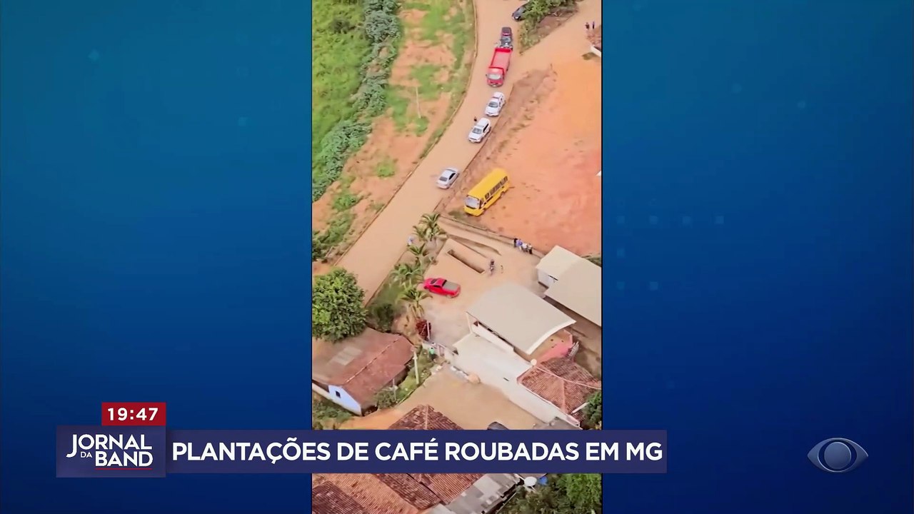Plantações de café são roubadas em Minas Gerais