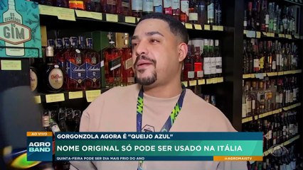 Gorgonzola passa a se chamar 'queijo azul' no Brasil; entenda o motivo