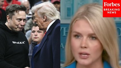 Karoline Leavitt Asked: Did President Trump Accept Musk’s Recent Apology After Their Heated Public Feud?