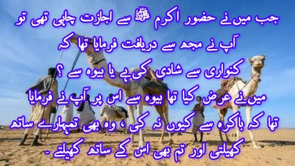 جابر رضی اللّٰه عنہ کا اونٹ 🐫 اور نبی صلی اللّٰه علیہ وآلہ وسلّم کی برکت