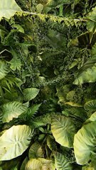 One touch of nature makes the whole world kin. #nature #forest #tree