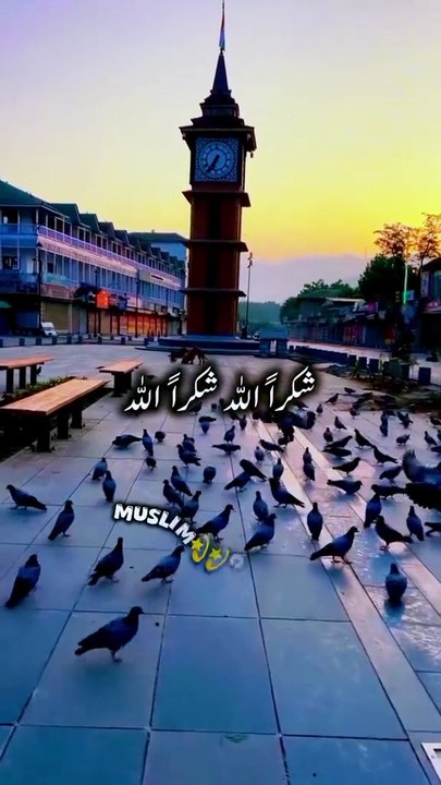 ISLAMIC HUB