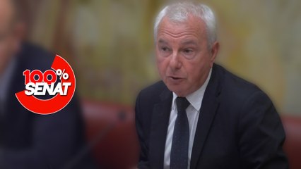 100% Sénat - Fin de vie : audition de Jean Leonetti