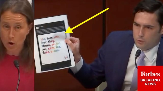 What Does 'E' Mean As A Pronoun? : Brandon Gill Grills Exec About Pronouns From Her Company's Website