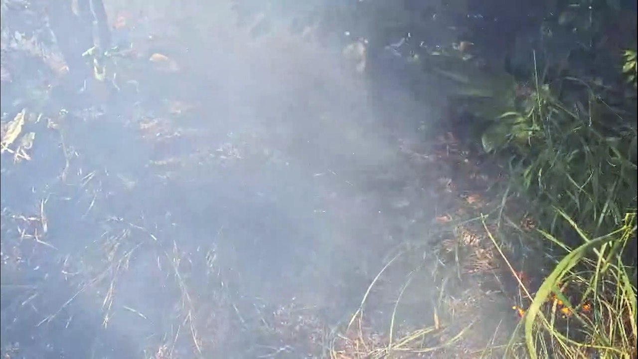 Fumaça toma conta do viaduto da Avenida Piquiri após incêndio em vegetação