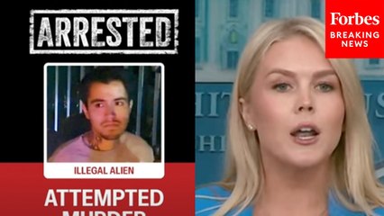 Karoline Leavitt Announces New Arrests In Los Angeles Amidst Ongoing Protests