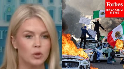 Karoline Leavitt Addresses Trump’s Claim ‘Paid Insurrectionists’ Are Behind The LA Immigration Protests